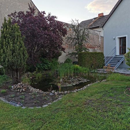 Fewo Rohleder De Mit 130M2 Und Garten Fuer 6Pers Mit 2 Bad Cottbus Eksteriør billede