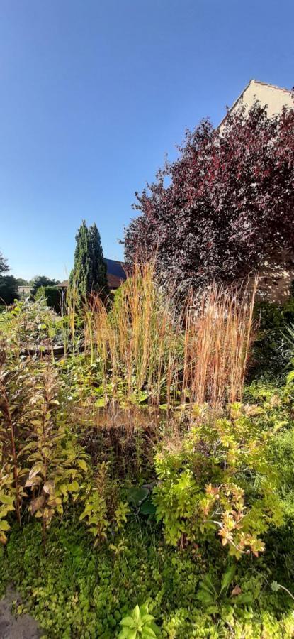 Fewo Rohleder De Mit 130M2 Und Garten Fuer 6Pers Mit 2 Bad Cottbus Eksteriør billede